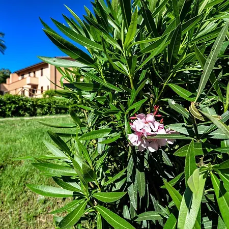 דירה Trilocale Rio Elba Rio dellʼElba